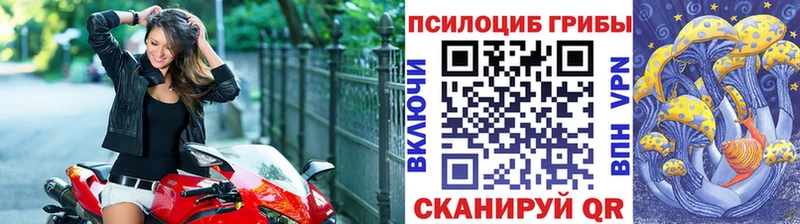 Галлюциногенные грибы мицелий  где найти наркотики  мориарти официальный сайт  Дубовка 